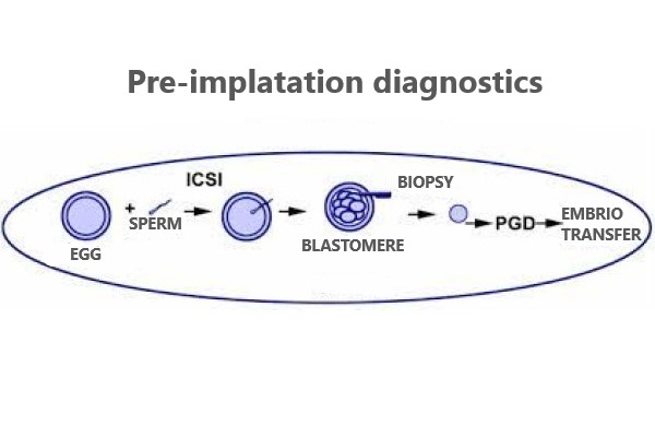 Pre-implatation diagnostics