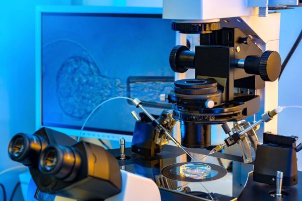 IVF_ICSI_3 IVF ICSI